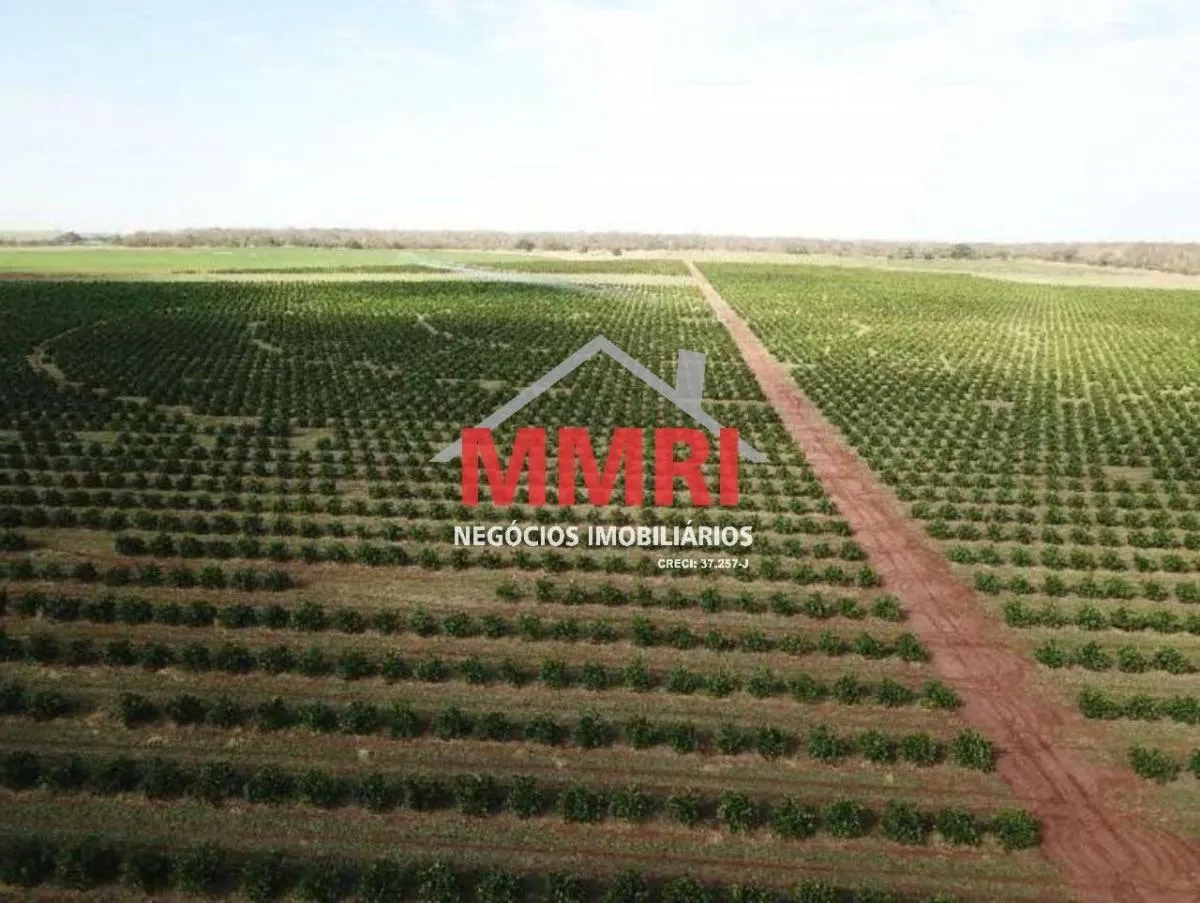 Fazenda à venda de 158 ha em Votuporanga, SP, Brasil