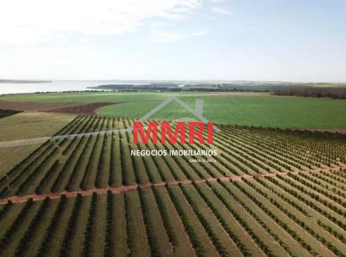 Fazenda à venda de 158 ha em Votuporanga, SP, Brasil