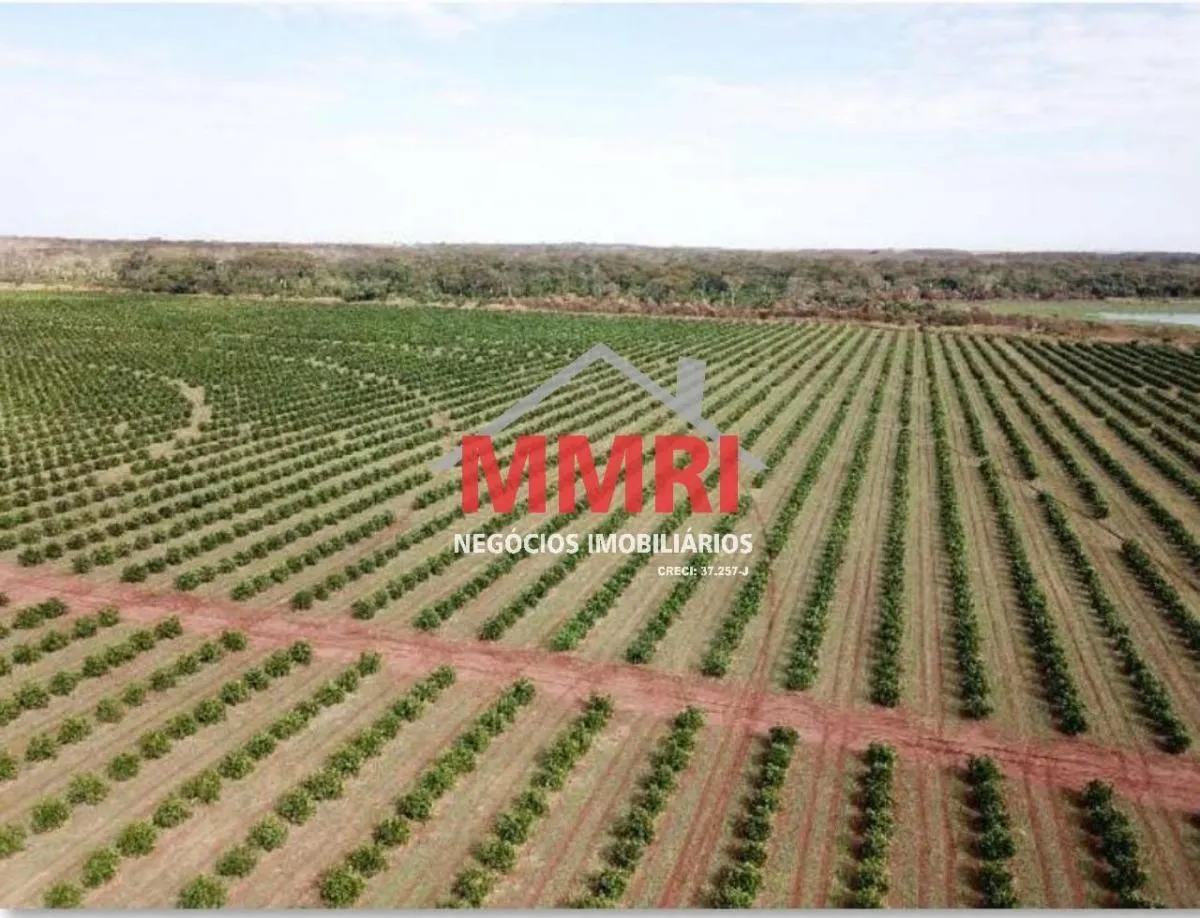 Fazenda à venda de 158 ha em Votuporanga, SP, Brasil