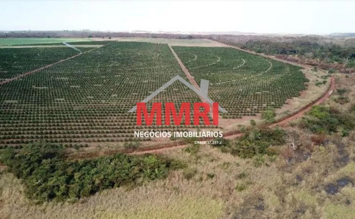 Fazenda à venda de 158 ha em Votuporanga, SP, Brasil