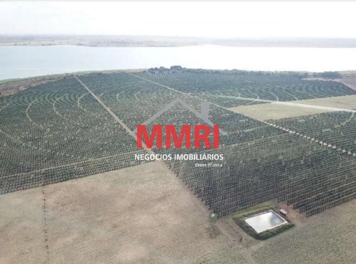 Fazenda à venda de 158 ha em Votuporanga, SP, Brasil