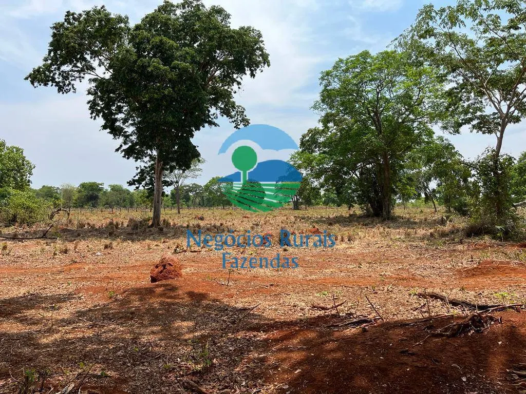 Fazenda à venda de 953 ha em Nova Crixás, GO, Brasil