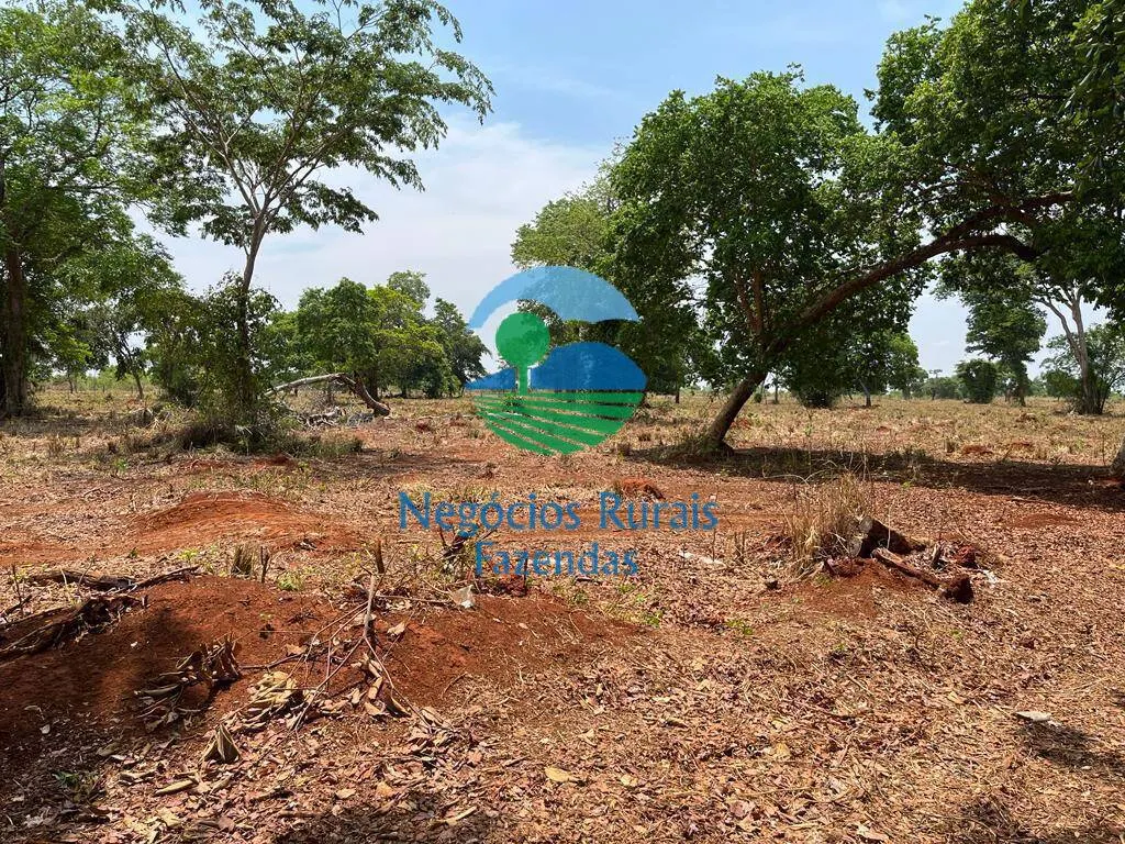 Fazenda à venda de 953 ha em Nova Crixás, GO, Brasil