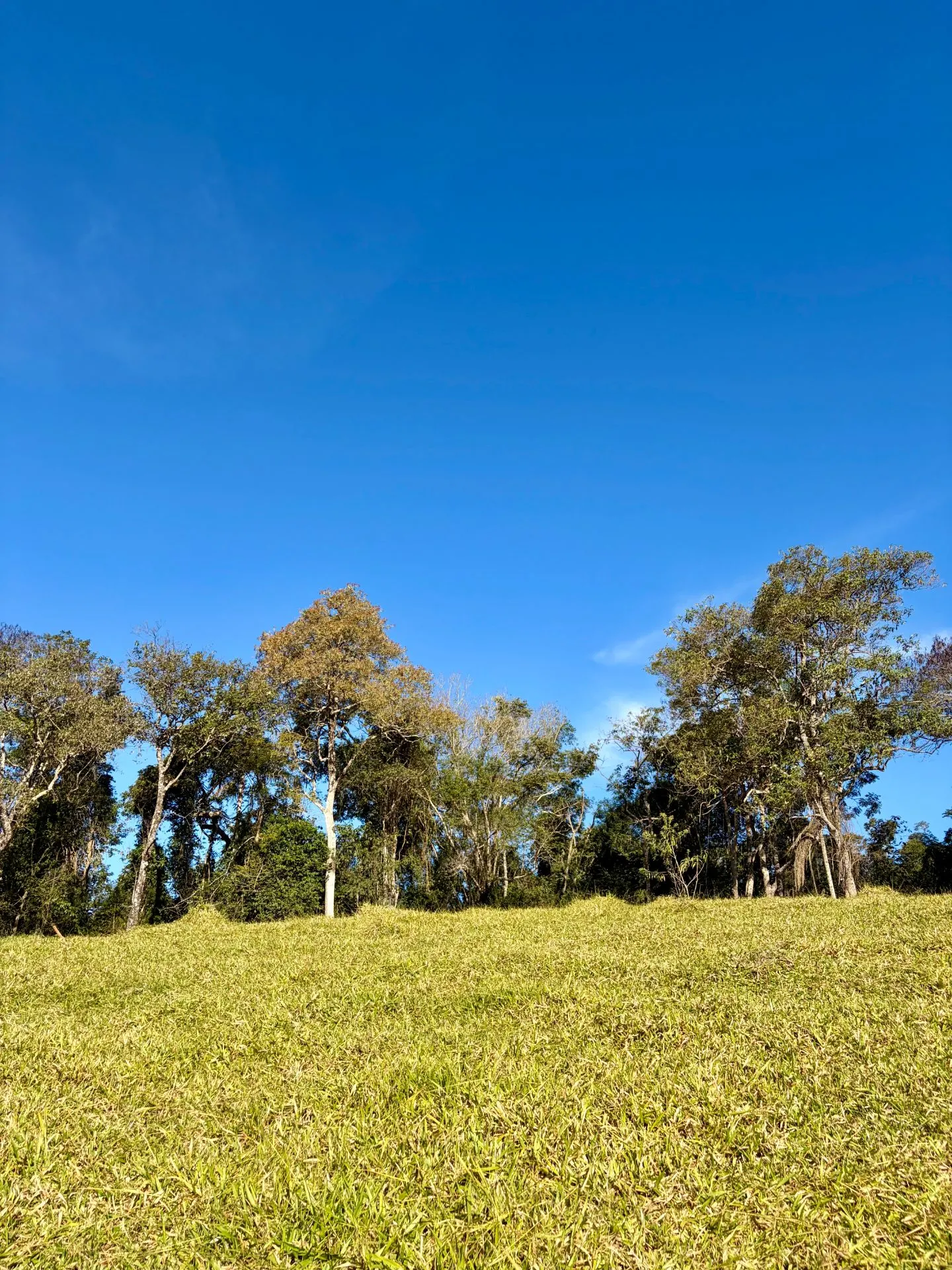 Sítio à venda de 2 ha em Cunha, SP, Brasil