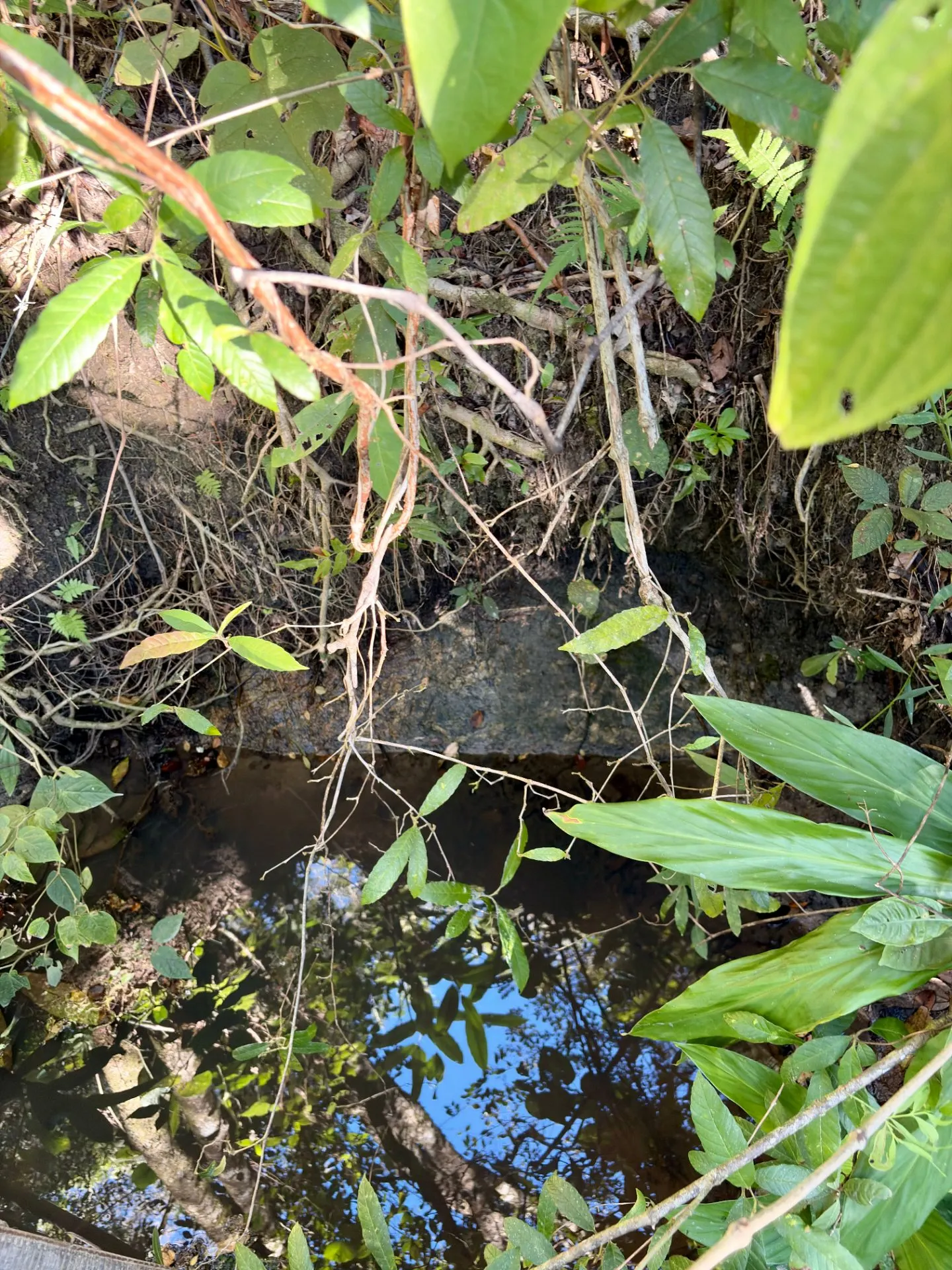 Sítio à venda de 2 ha em Cunha, SP, Brasil