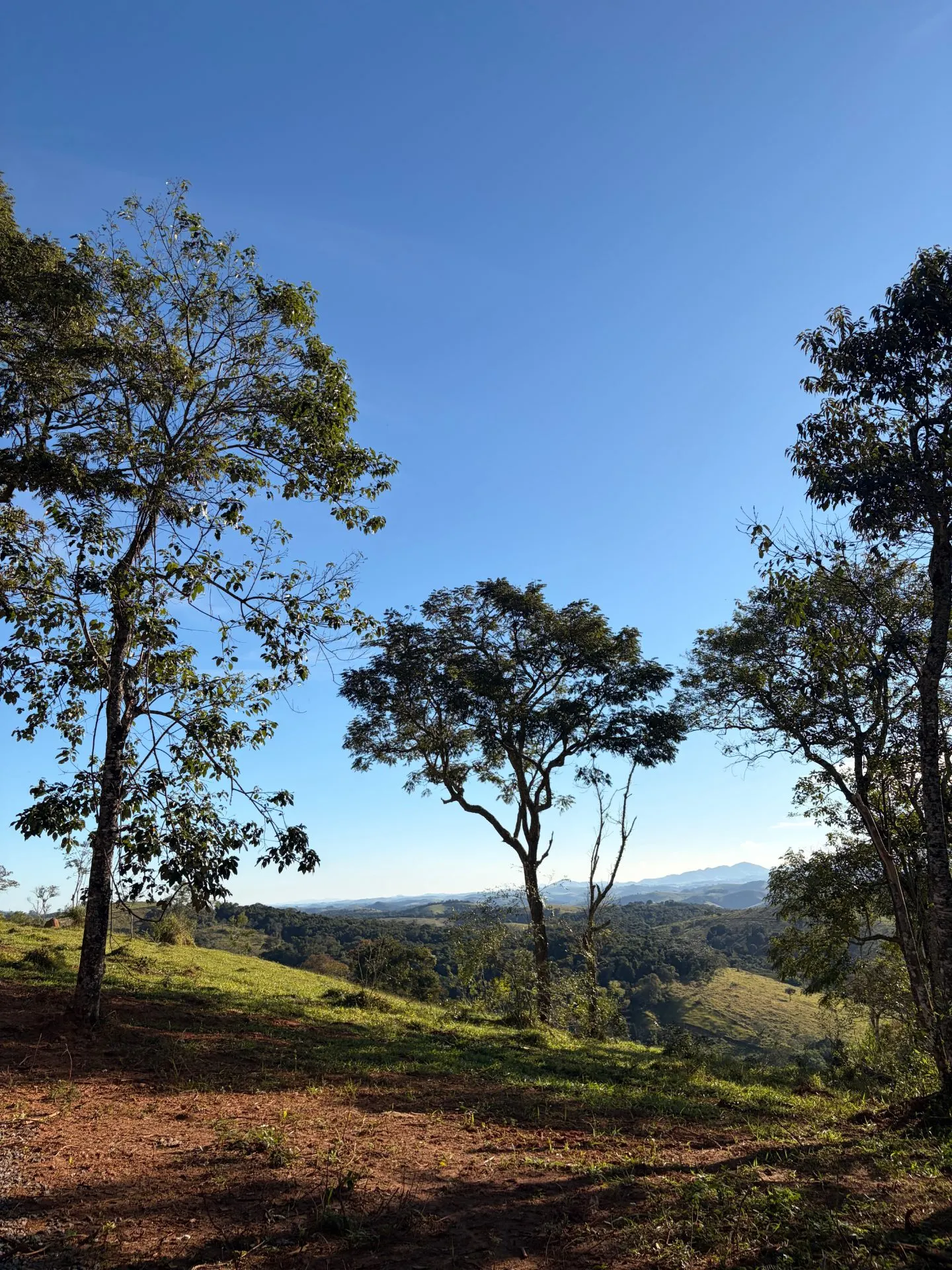 Sítio à venda de 2 ha em Cunha, SP, Brasil