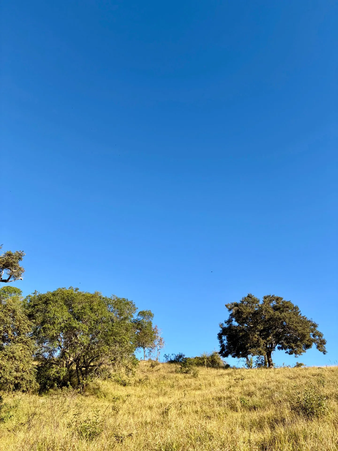 Sítio à venda de 2 ha em Cunha, SP, Brasil