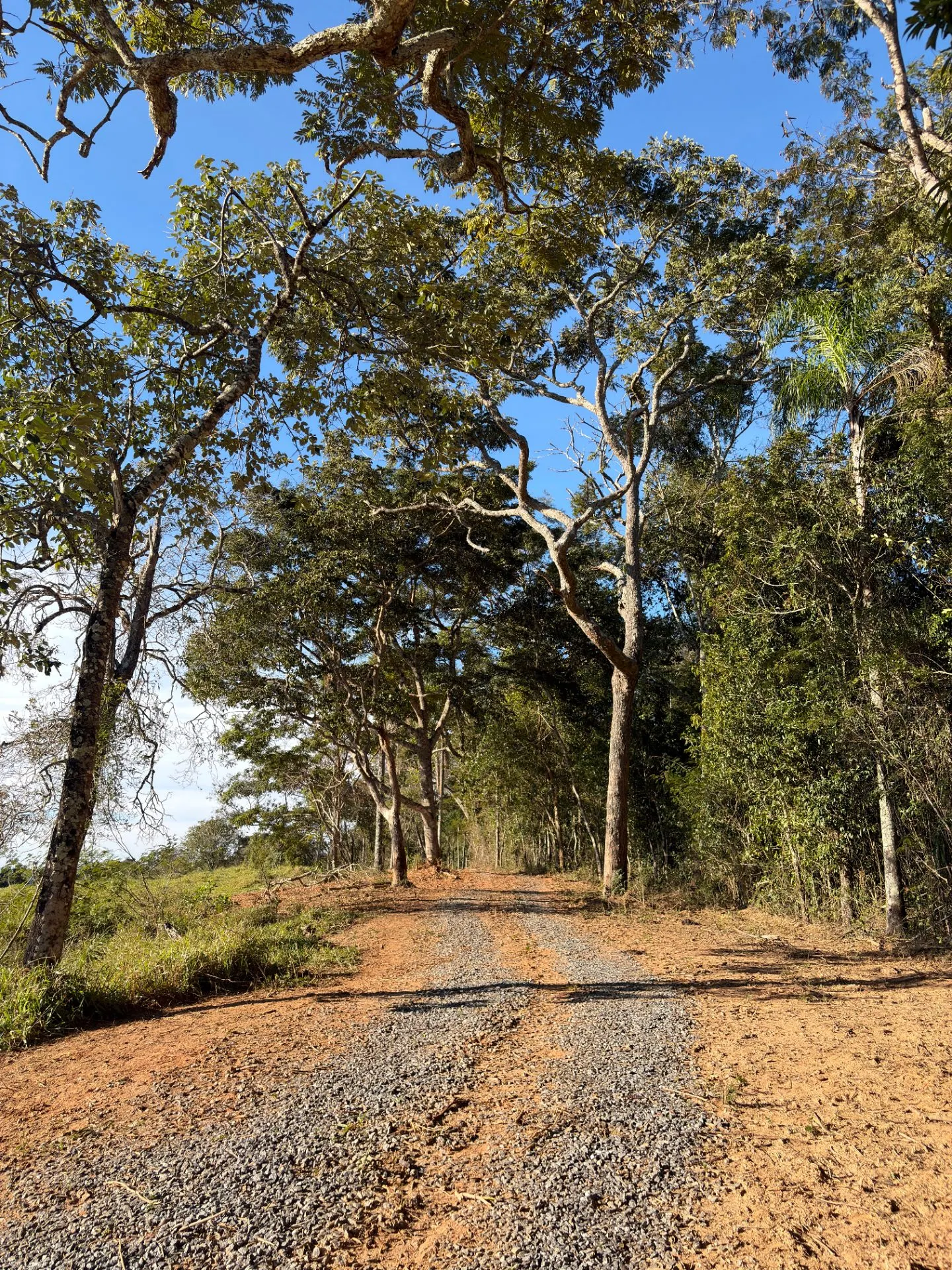 Sítio à venda de 2 ha em Cunha, SP, Brasil
