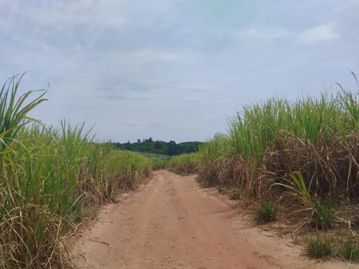Sítio à venda de 18 ha em Cajuru, SP, Brasil