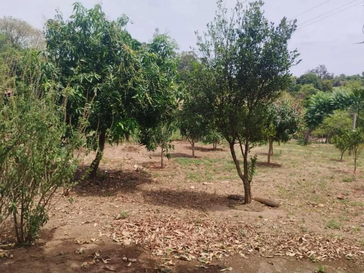 Sítio à venda de 18 ha em Cajuru, SP, Brasil