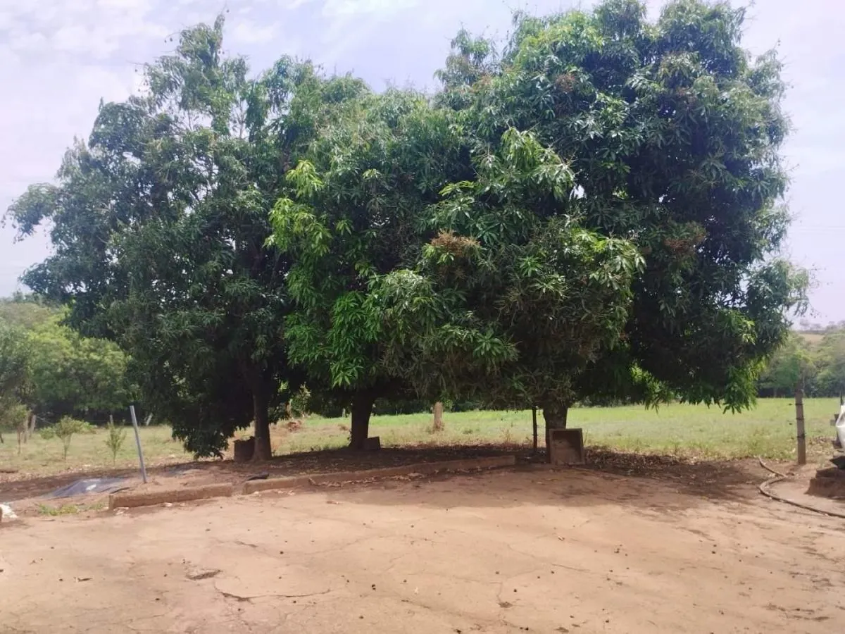 Sítio à venda de 18 ha em Cajuru, SP, Brasil