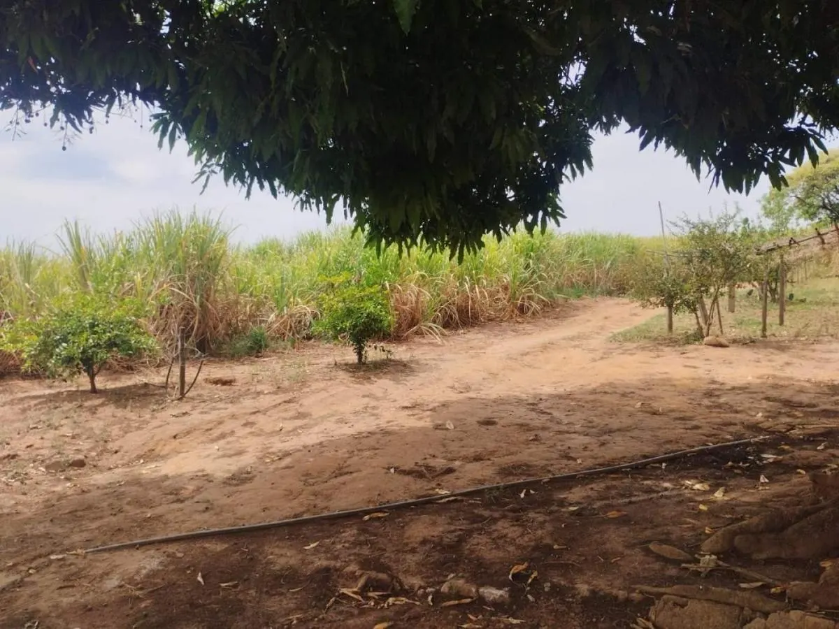 Sítio à venda de 18 ha em Cajuru, SP, Brasil
