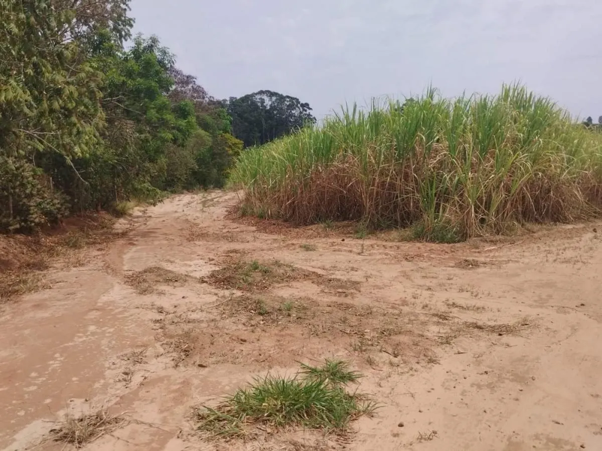 Sítio à venda de 18 ha em Cajuru, SP, Brasil
