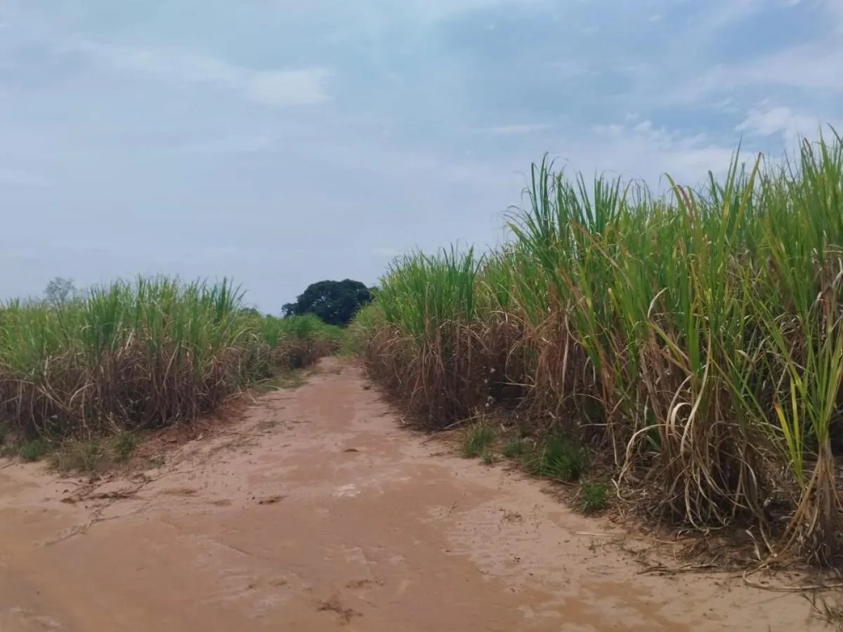 Sítio à venda de 18 ha em Cajuru, SP, Brasil