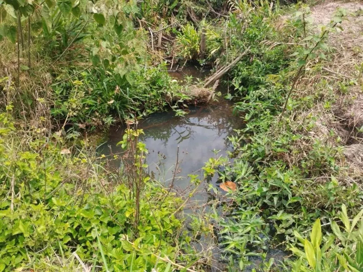 Sítio à venda de 18 ha em Cajuru, SP, Brasil