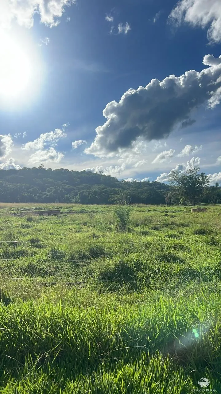 Fazenda à venda de 484 ha em Gurinhatã, MG, Brasil