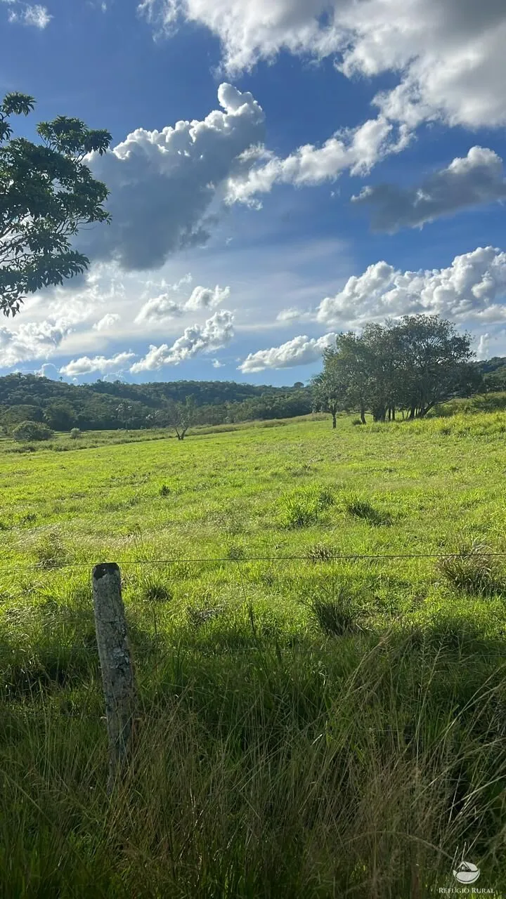Fazenda à venda de 484 ha em Gurinhatã, MG, Brasil