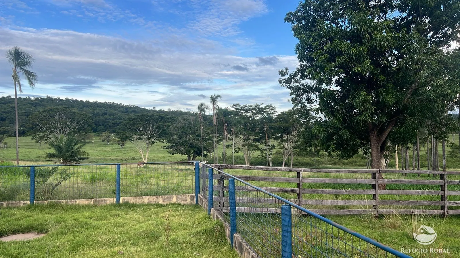 Fazenda à venda de 484 ha em Gurinhatã, MG, Brasil