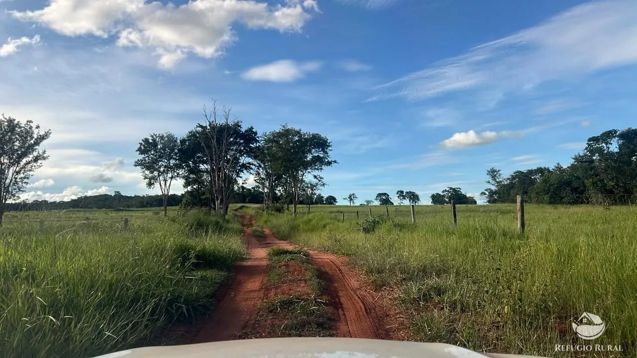 Fazenda à venda de 484 ha em Gurinhatã, MG, Brasil