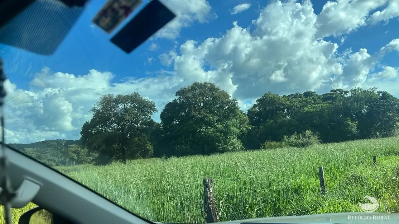 Fazenda à venda de 484 ha em Gurinhatã, MG, Brasil