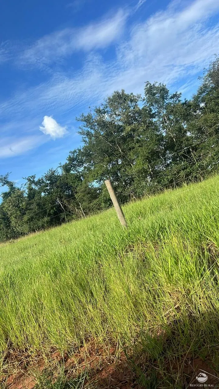 Fazenda à venda de 484 ha em Gurinhatã, MG, Brasil