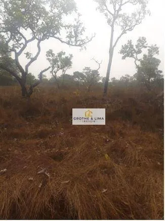 Fazenda à venda de 12.971 ha em Lagoa da Confusão, TO, Brasil
