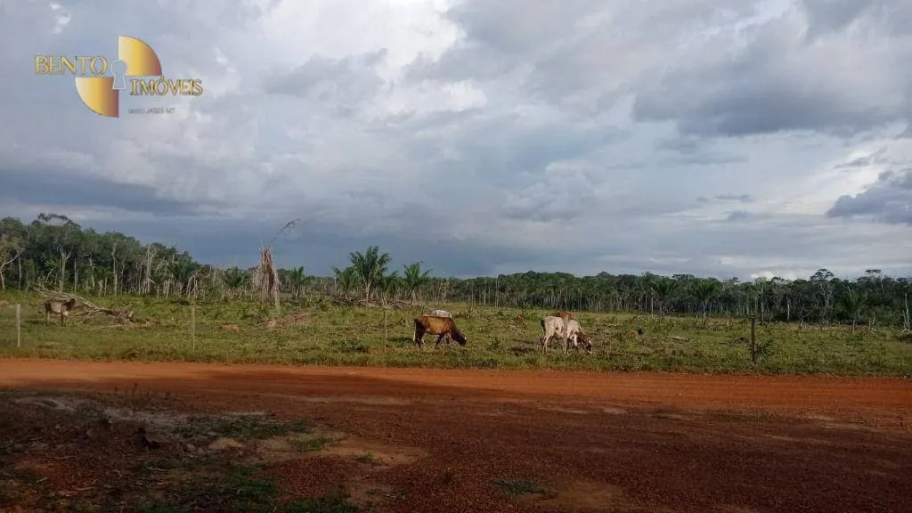 Fazenda à venda de 50.000 ha em Boa Vista, RR, Brasil