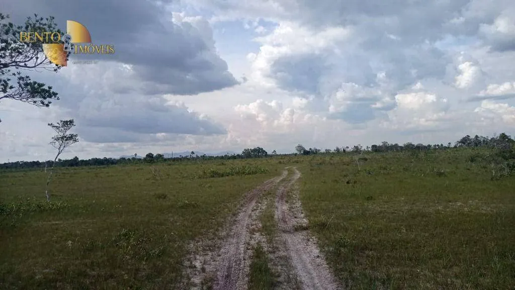 Fazenda à venda de 50.000 ha em Boa Vista, RR, Brasil