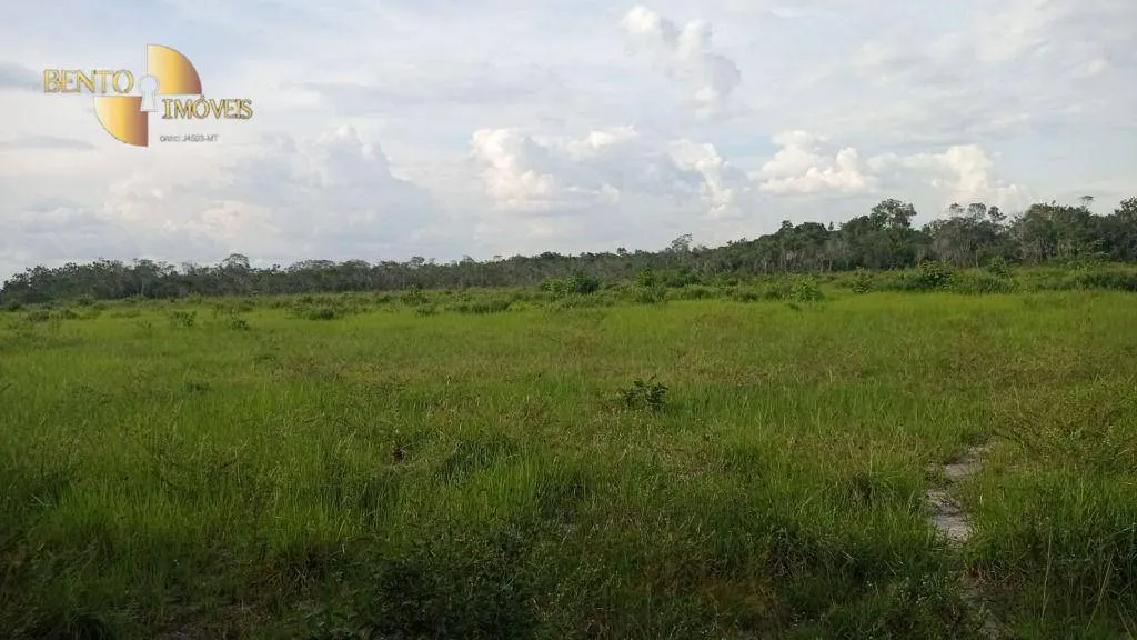 Fazenda à venda de 50.000 ha em Boa Vista, RR, Brasil