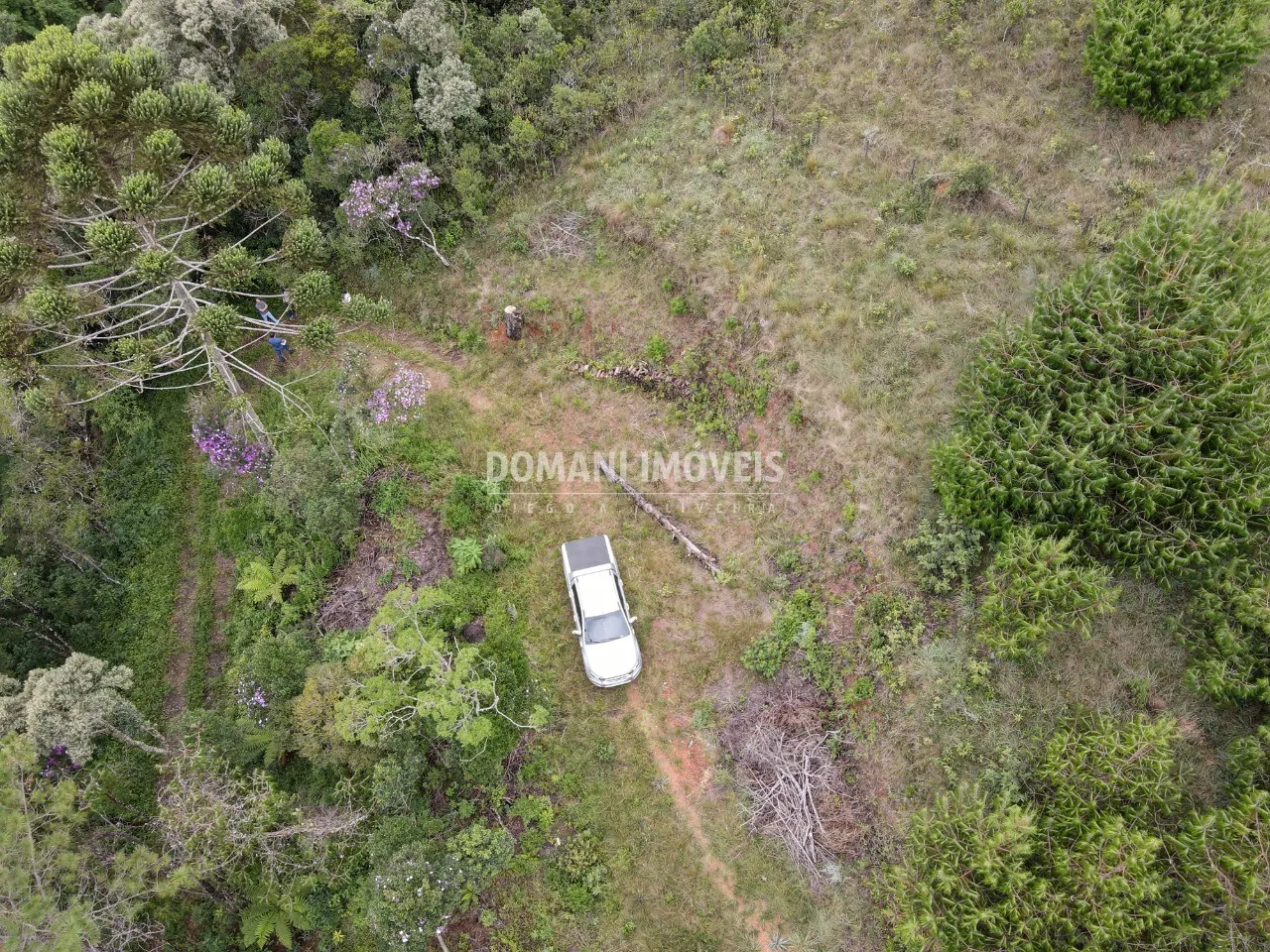 Terreno à venda de 2.000 m² em Campos do Jordão, SP, Brasil