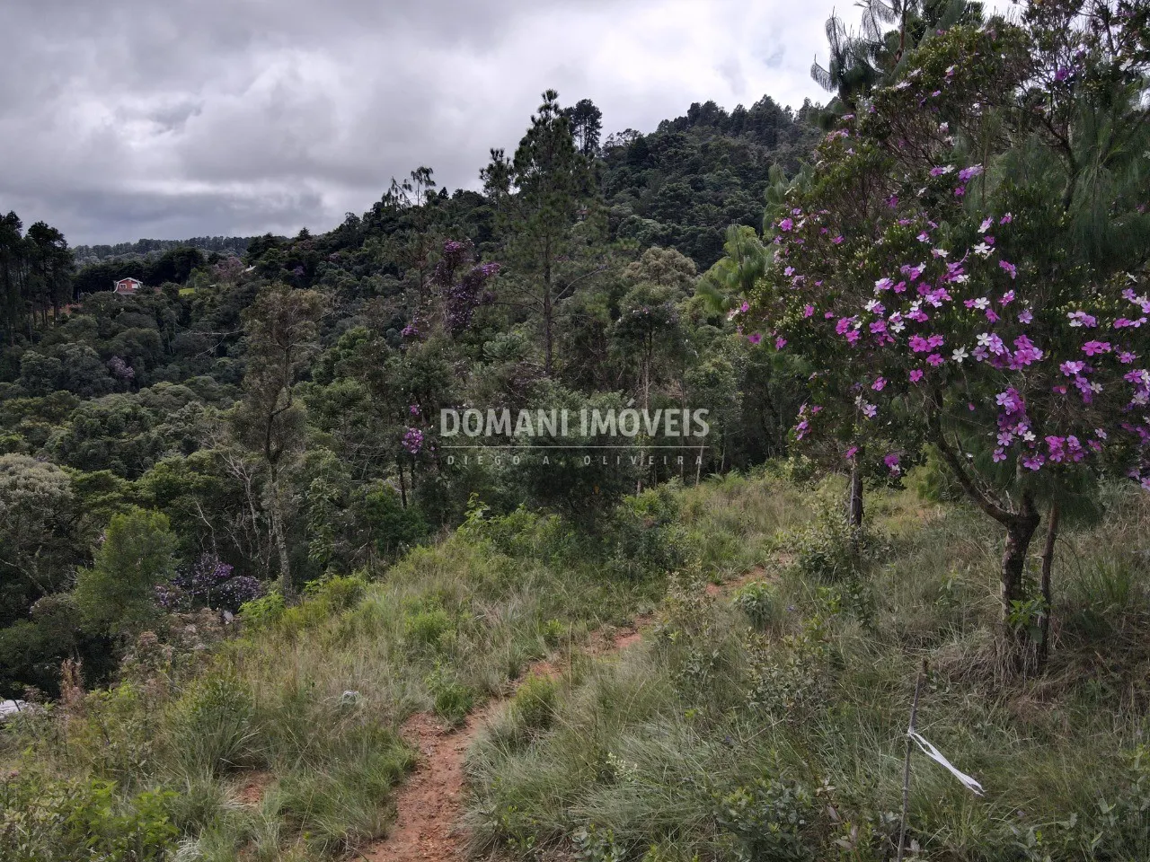 Terreno à venda de 2.000 m² em Campos do Jordão, SP, Brasil