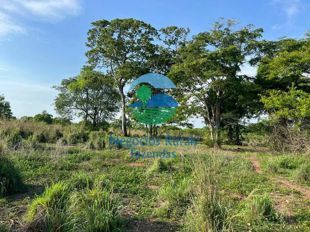 Fazenda à venda de 1.113 ha em Almas, TO, Brasil