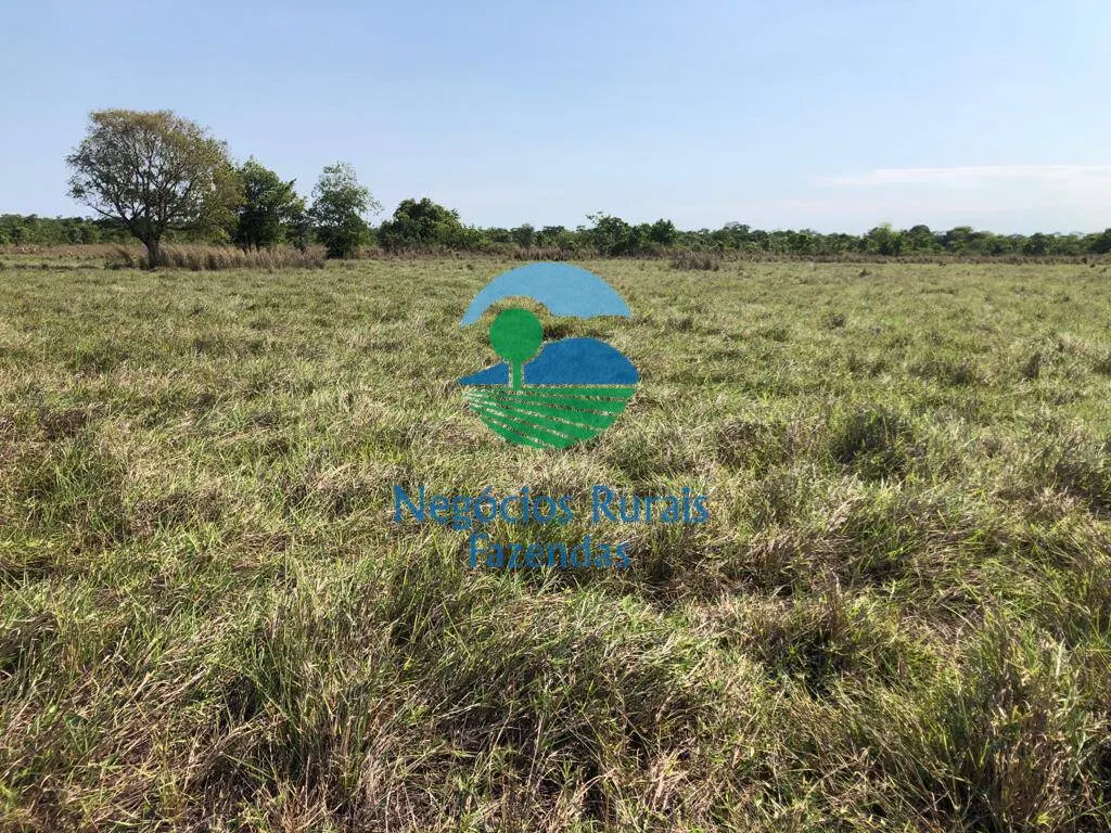 Fazenda à venda de 1.113 ha em Almas, TO, Brasil