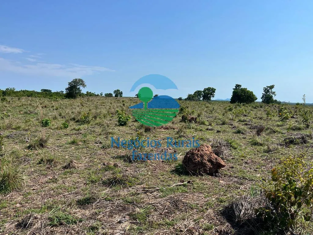 Fazenda à venda de 1.113 ha em Almas, TO, Brasil