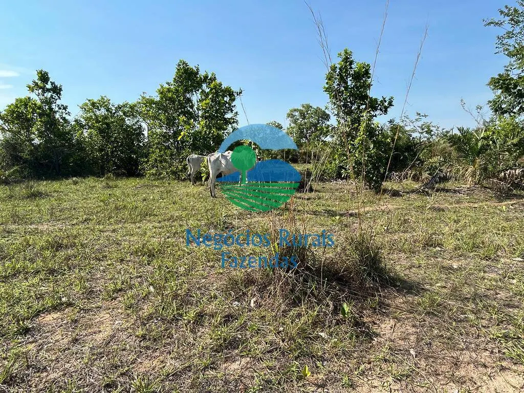 Fazenda à venda de 1.113 ha em Almas, TO, Brasil