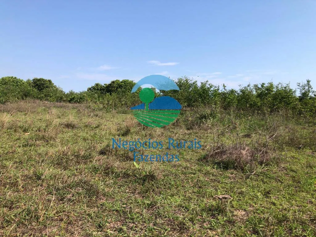 Fazenda à venda de 1.113 ha em Almas, TO, Brasil