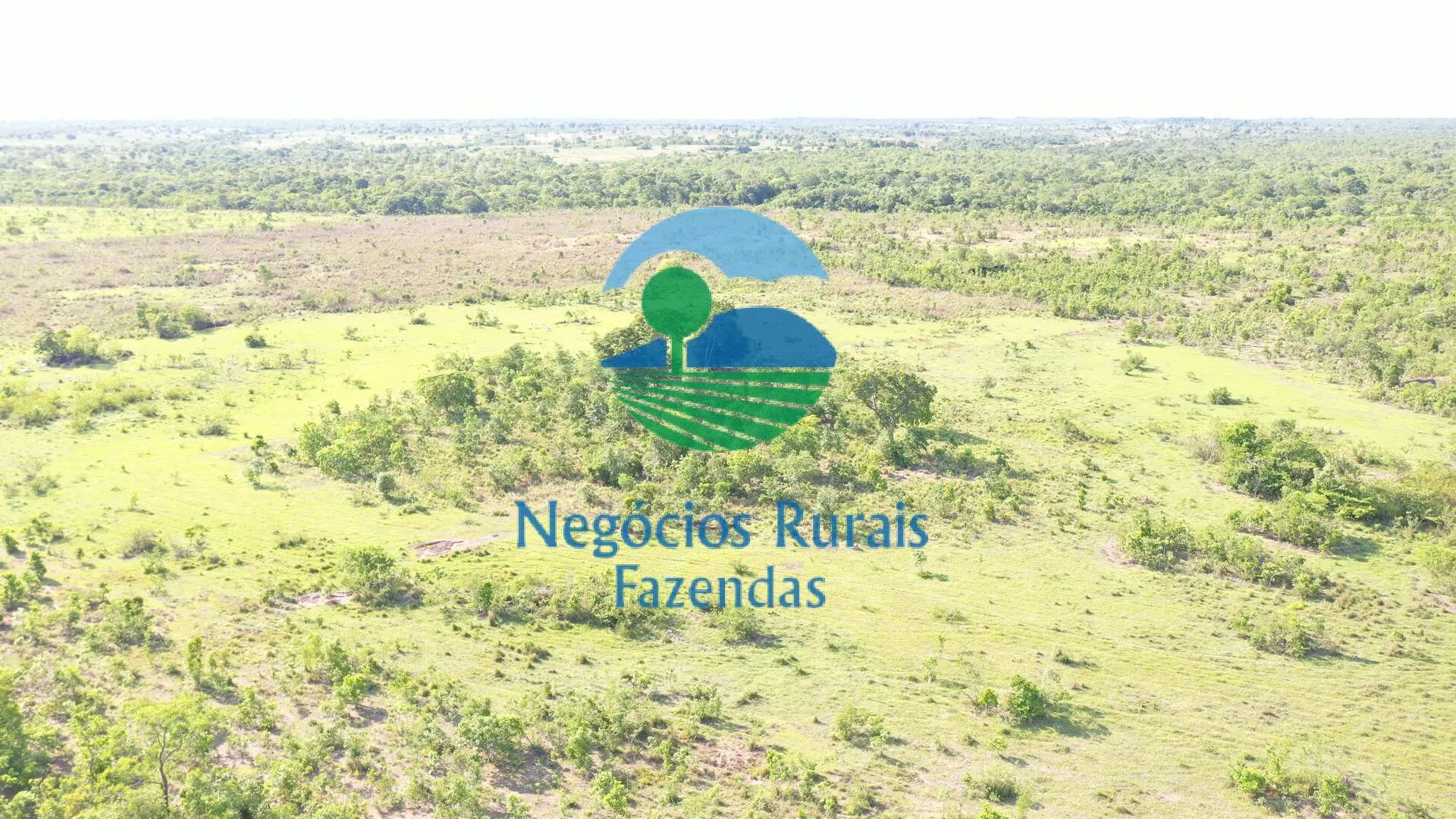 Fazenda à venda de 1.113 ha em Almas, TO, Brasil
