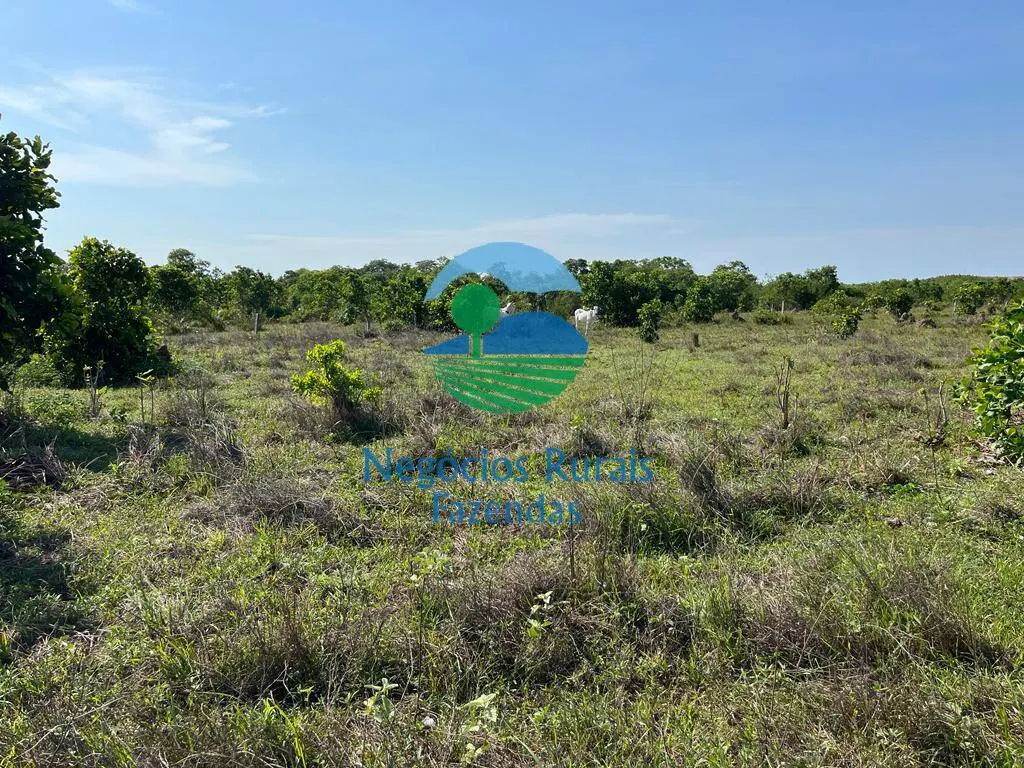 Fazenda à venda de 1.113 ha em Almas, TO, Brasil