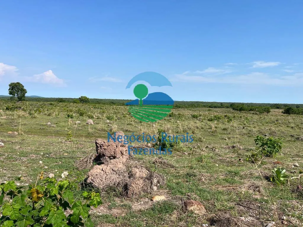 Fazenda à venda de 1.113 ha em Almas, TO, Brasil