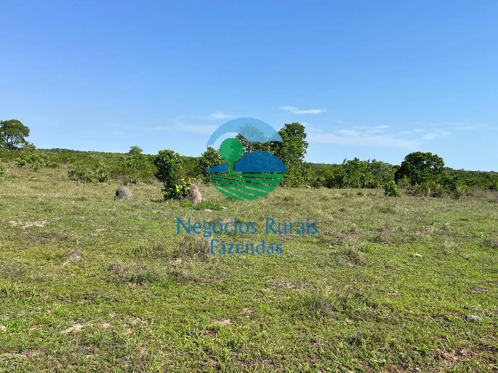 Fazenda à venda de 1.113 ha em Almas, TO, Brasil