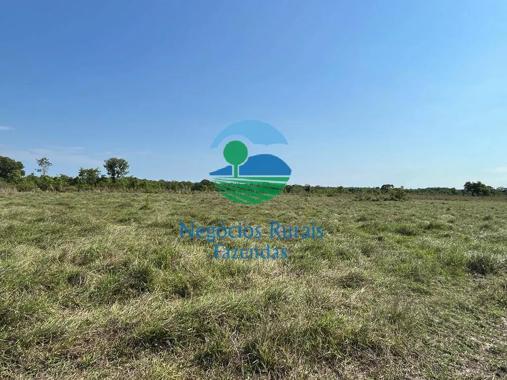 Fazenda à venda de 1.113 ha em Almas, TO, Brasil