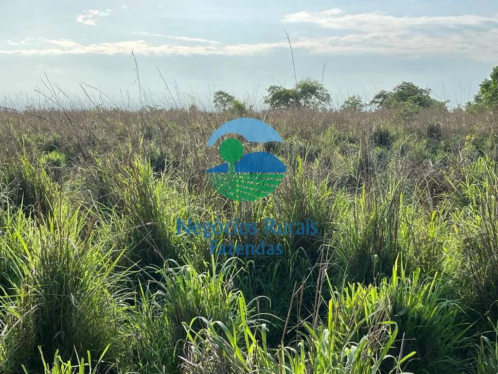 Fazenda à venda de 1.113 ha em Almas, TO, Brasil