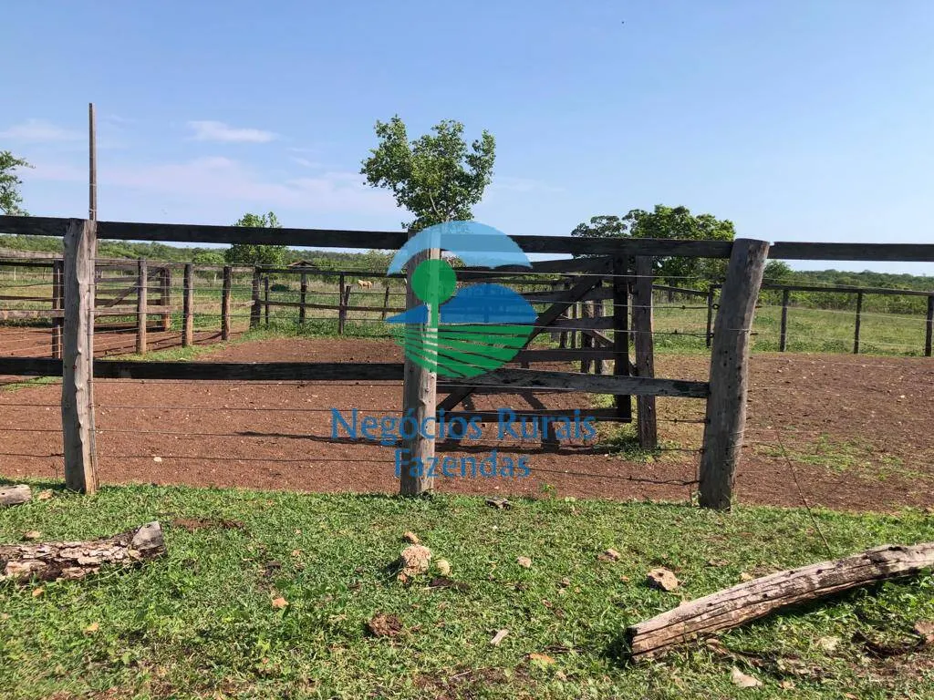 Fazenda à venda de 1.113 ha em Almas, TO, Brasil