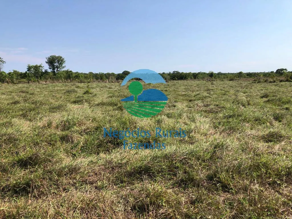 Fazenda à venda de 1.113 ha em Almas, TO, Brasil