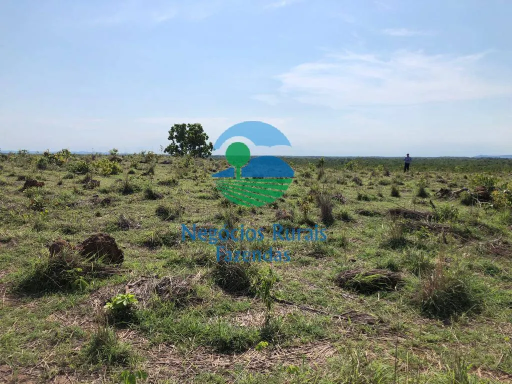 Fazenda à venda de 1.113 ha em Almas, TO, Brasil