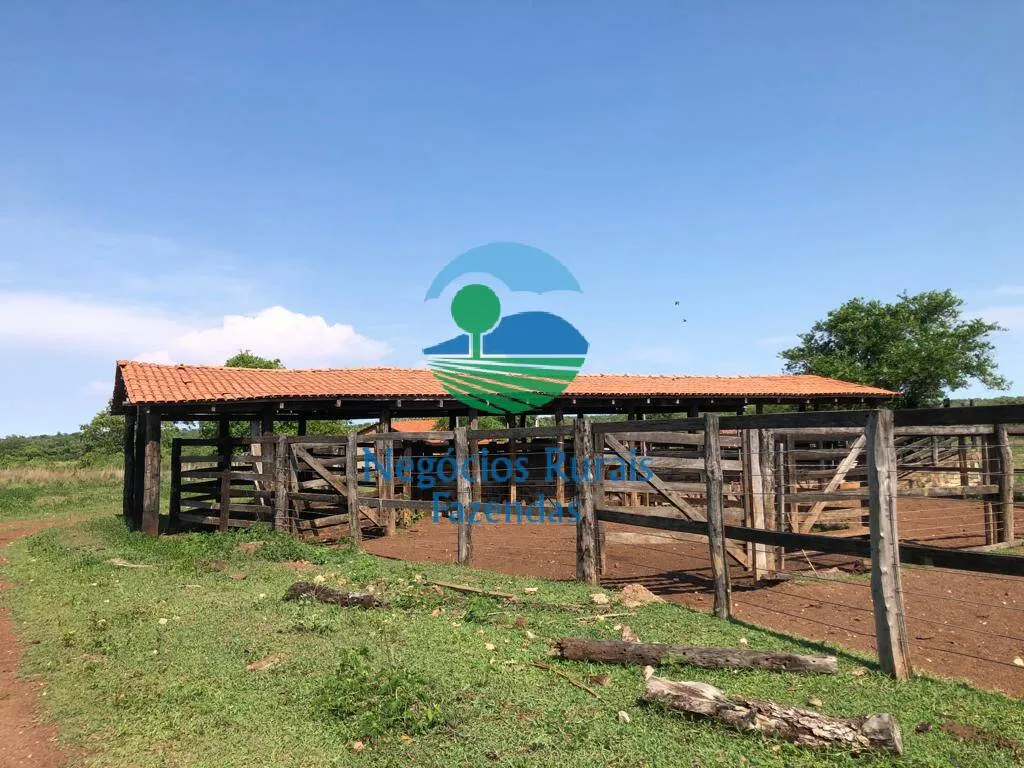 Fazenda à venda de 1.113 ha em Almas, TO, Brasil