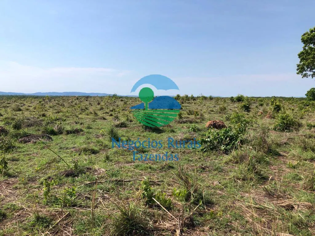 Fazenda à venda de 1.113 ha em Almas, TO, Brasil