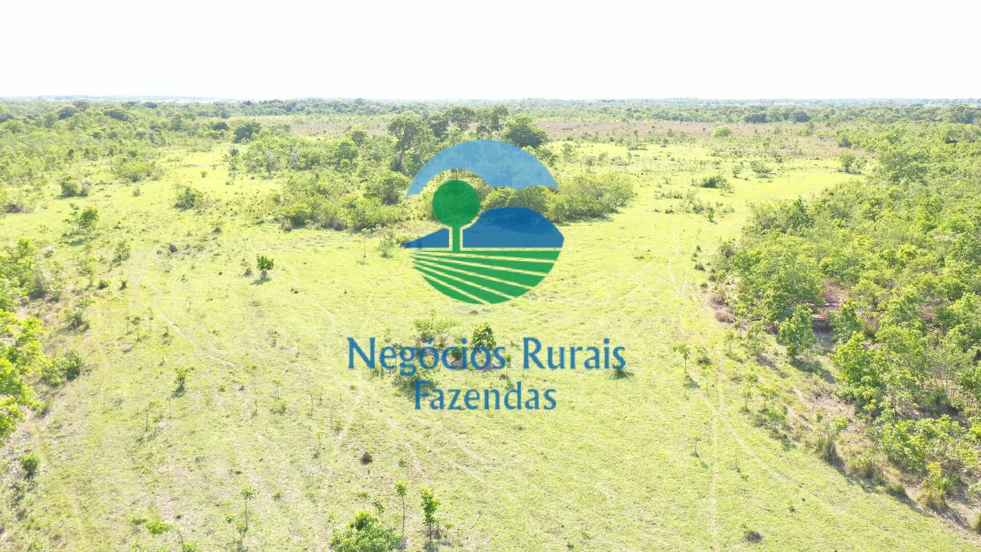 Fazenda à venda de 1.113 ha em Almas, TO, Brasil