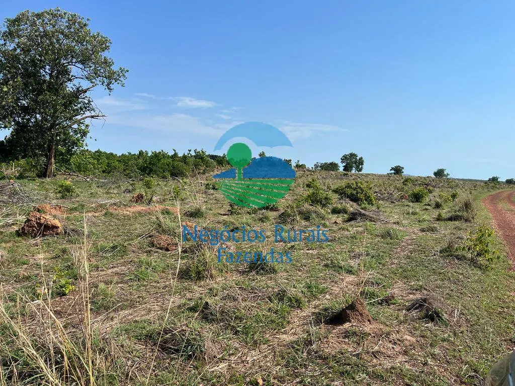Fazenda à venda de 1.113 ha em Almas, TO, Brasil