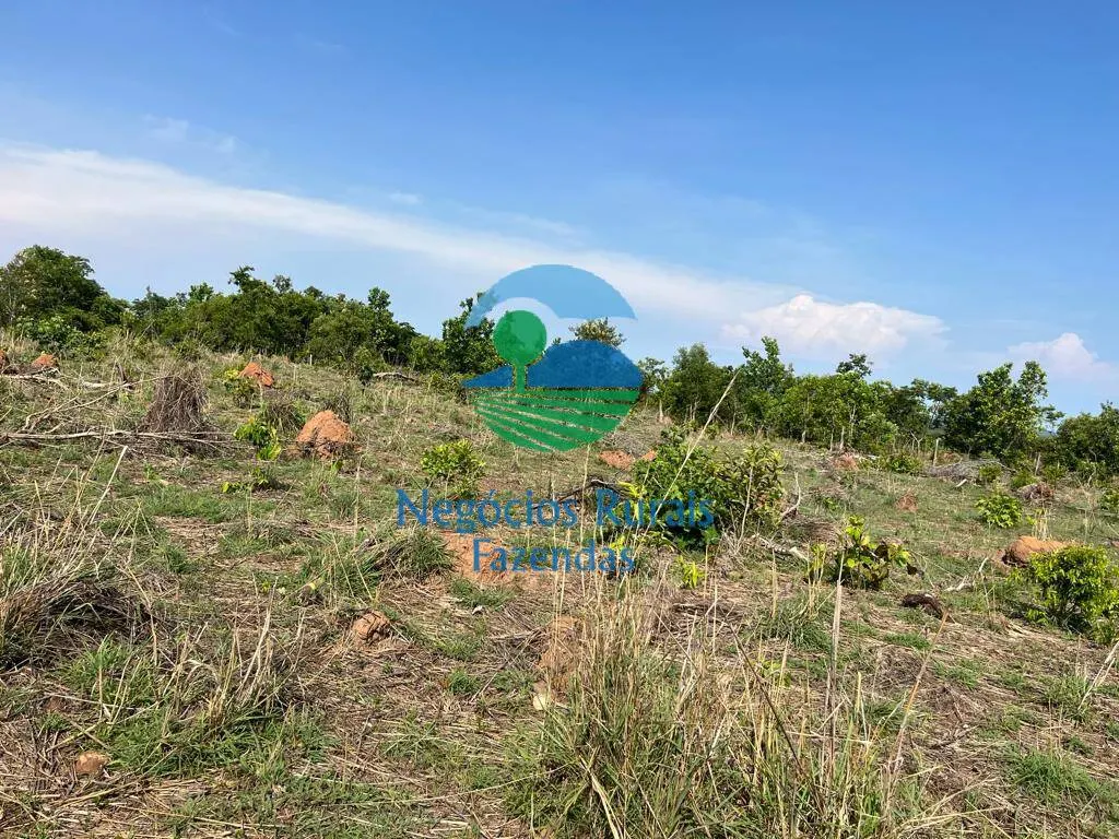 Fazenda à venda de 1.113 ha em Almas, TO, Brasil